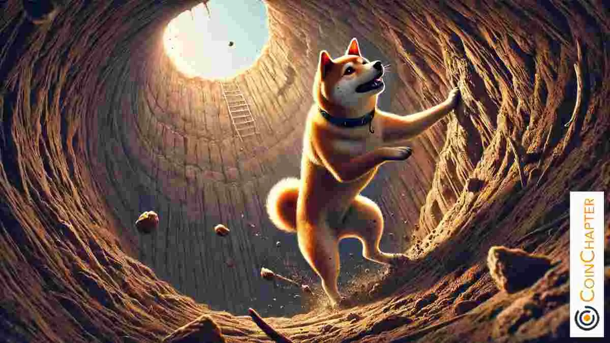 Dogecoin（Doge/USD）创建看跌旗模式，可能会下跌20％至$ 0.14952